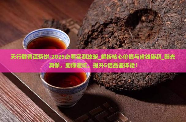 天行健普洱茶饼