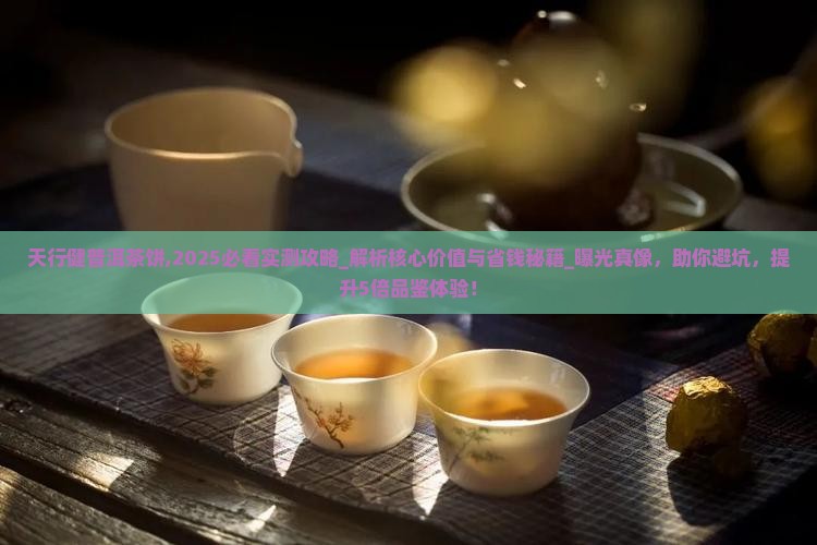天行健普洱茶饼