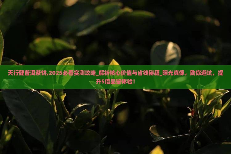 天行健普洱茶饼