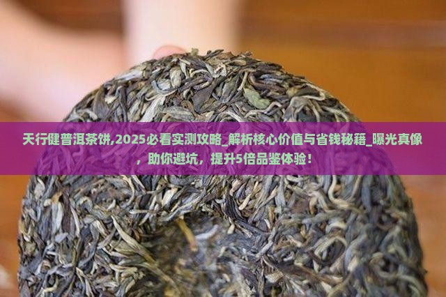 天行健普洱茶饼