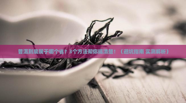 云南省普洱属于哪个省