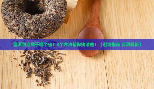 云南省普洱属于哪个省