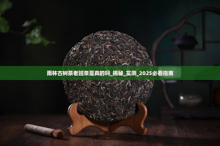 雨林古树茶老班章是真的吗