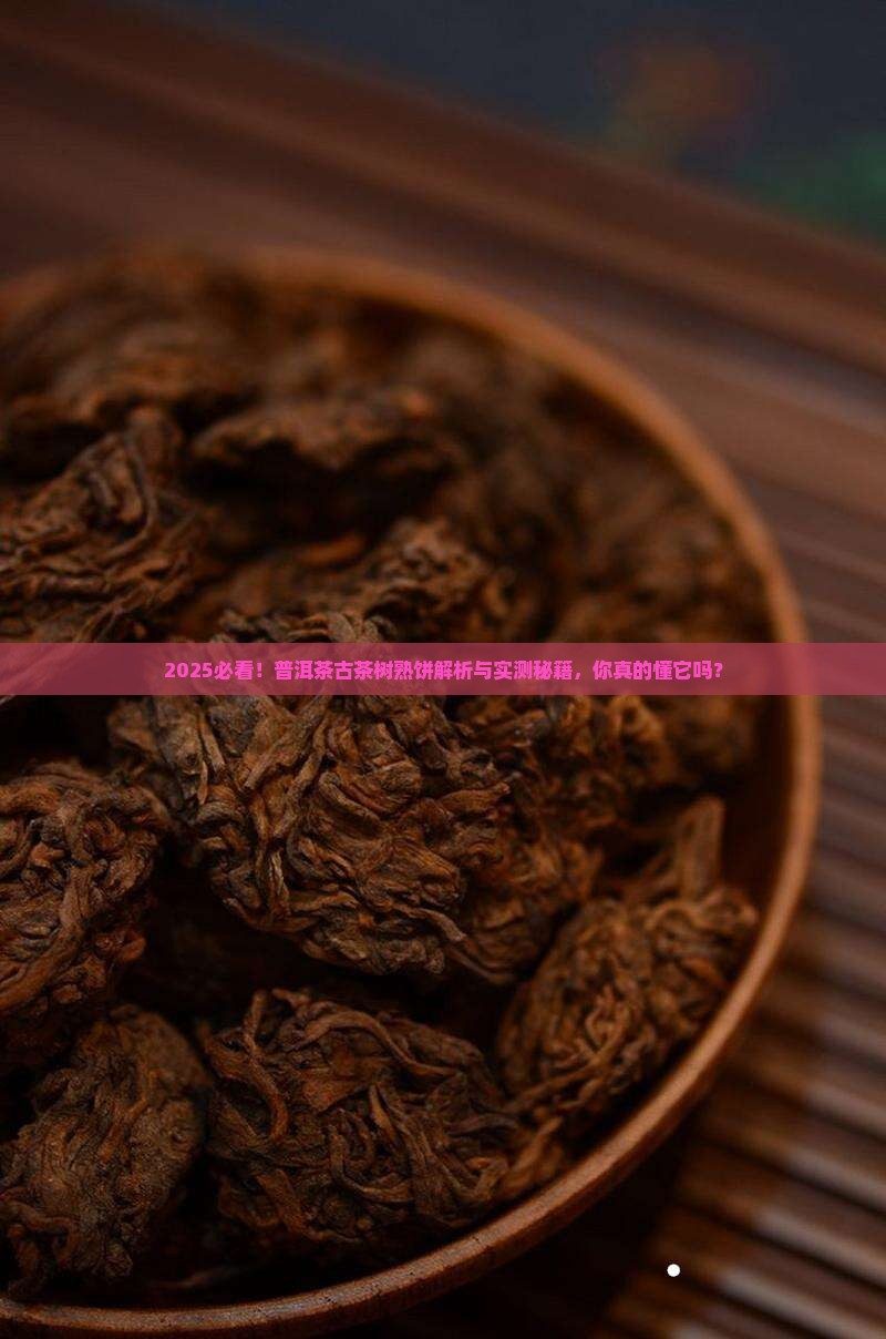 普洱茶古茶树熟饼