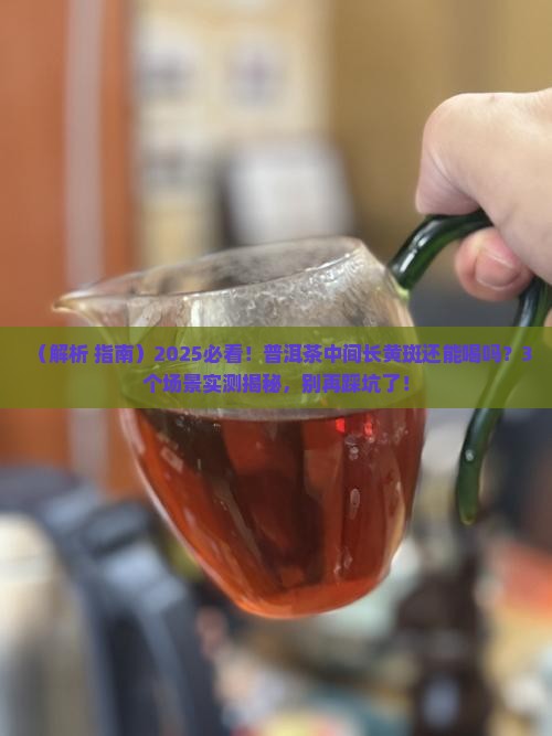 普洱茶中间长黄斑还能喝吗