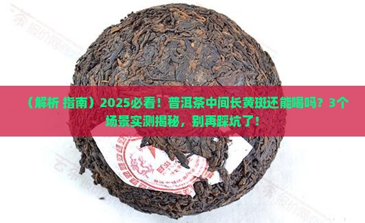 普洱茶中间长黄斑还能喝吗