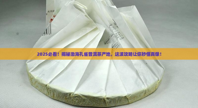 渤海孔雀普洱茶产地在哪里
