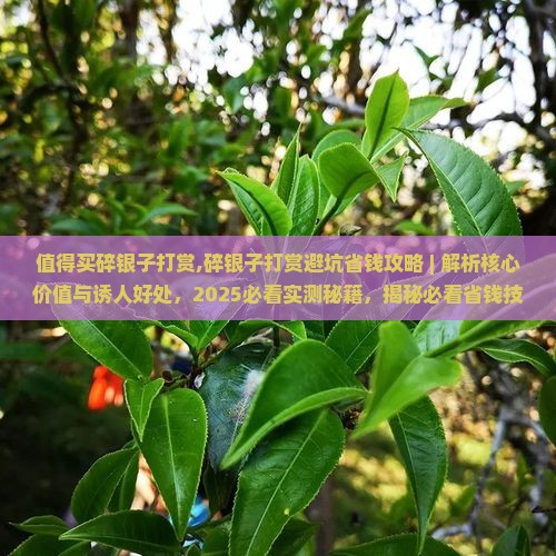 值得买碎银子打赏