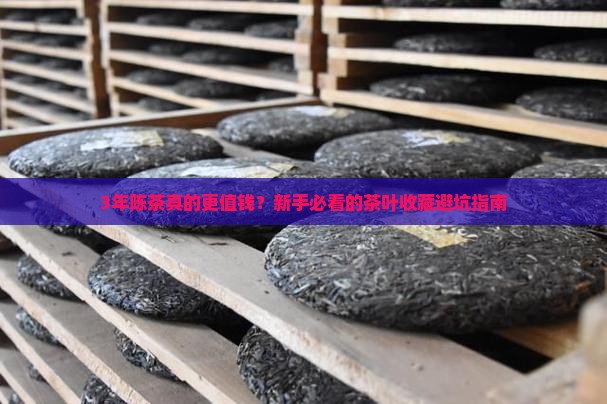 什么茶叶时间越长越贵