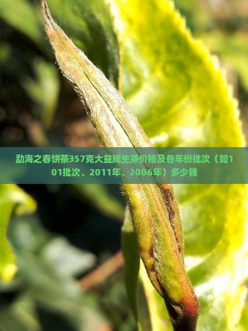 勐海之春饼茶357克大益牌生茶