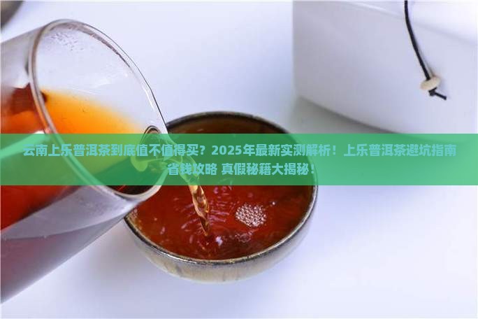 云南上乐普洱茶