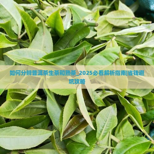 如何分辨普洱茶生茶和熟茶