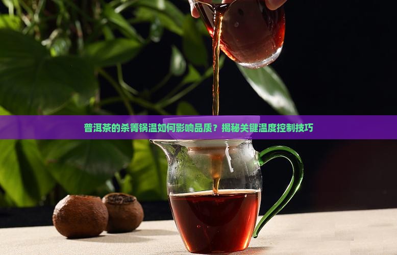 普洱茶的杀箐锅温