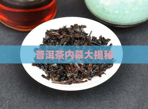 揭秘普洱茶黑内幕