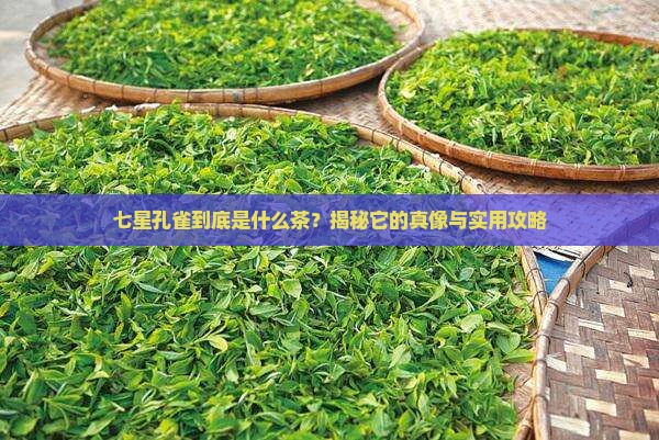 七星孔雀属于什么茶