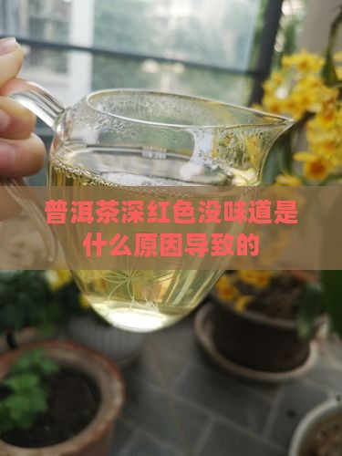 普洱茶深红色没味道