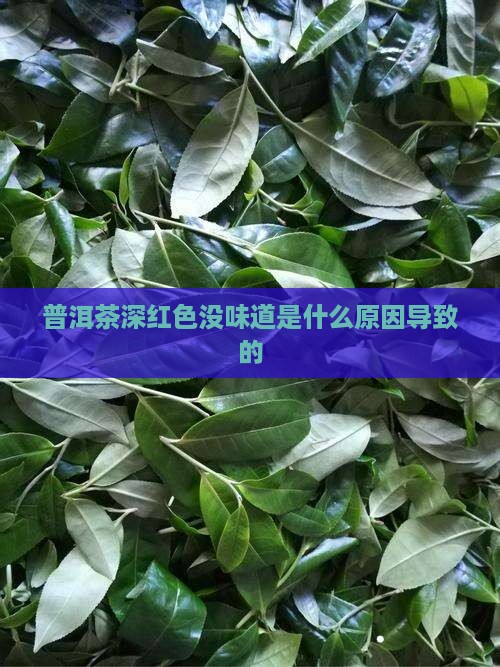 普洱茶深红色没味道