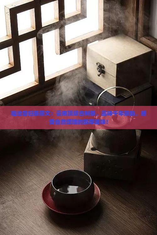 临沧昔归茶原文