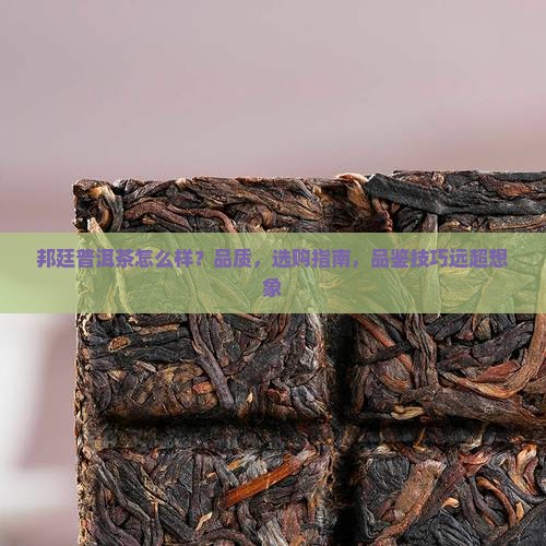 邦廷普洱茶怎么样