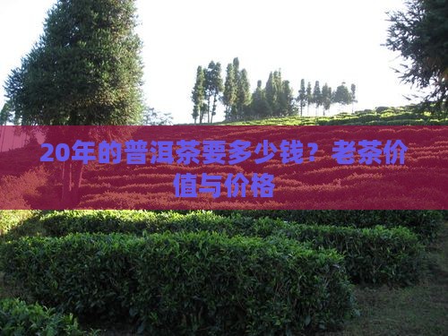 20年的普洱茶要多少钱