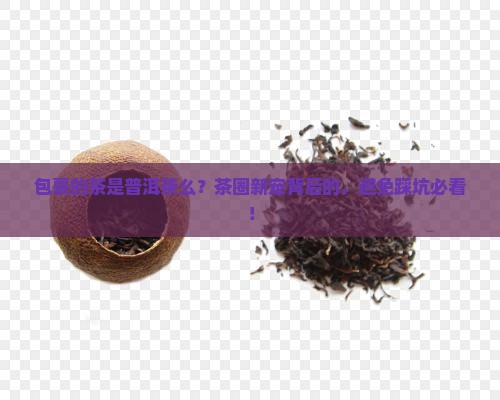 包裹的茶是普洱茶么