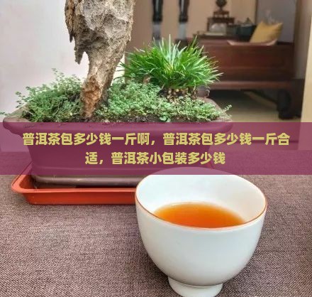 普洱茶包多少钱一斤