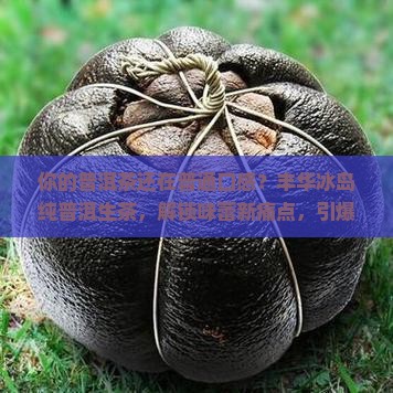 丰华冰岛纯普洱生茶
