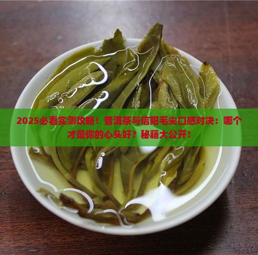 普洱茶和信阳毛尖哪个牌子好喝