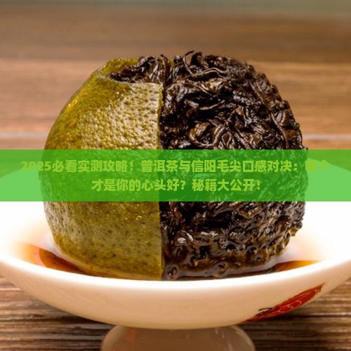 普洱茶和信阳毛尖哪个牌子好喝