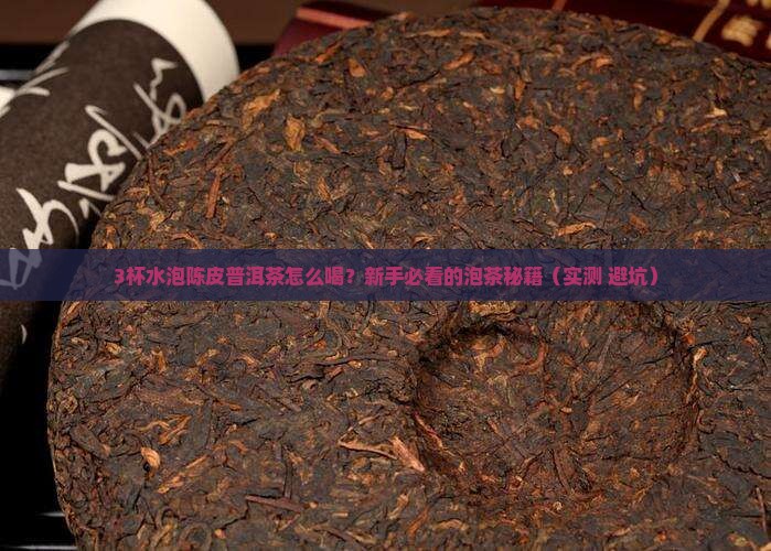 陈皮普洱茶用多少水