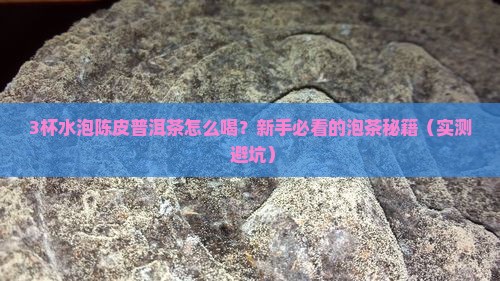 陈皮普洱茶用多少水
