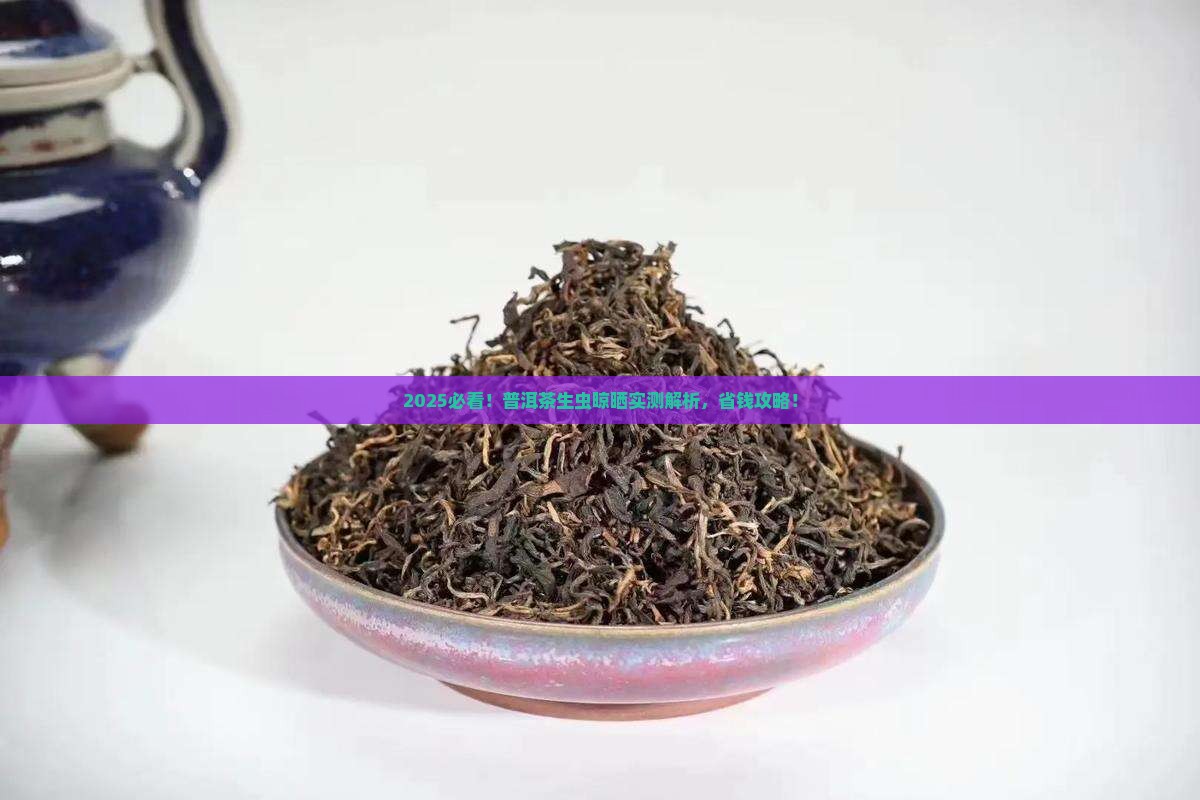 普洱茶生虫晾晒