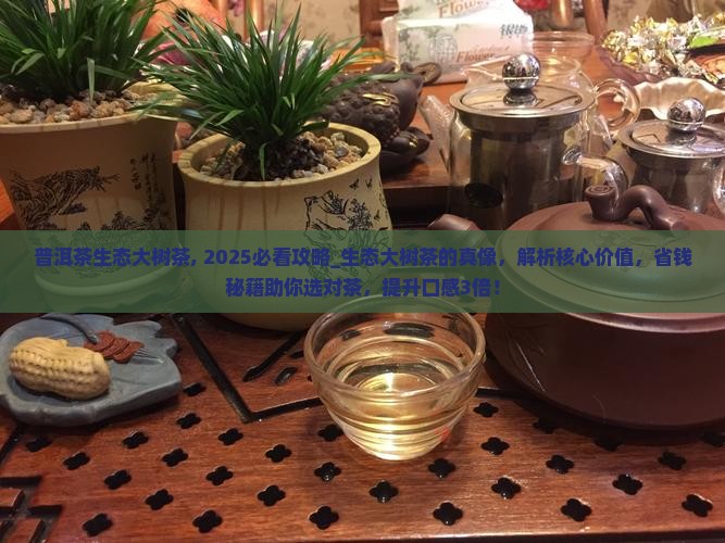 普洱茶生态大树茶