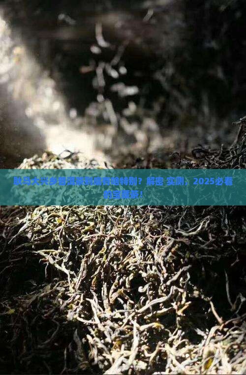 耿马大兴乡普洱茶