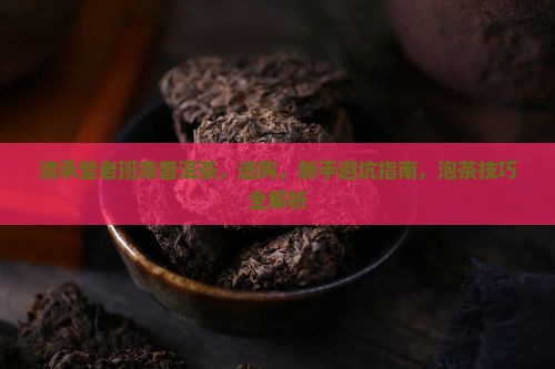 清承堂老班章普洱茶