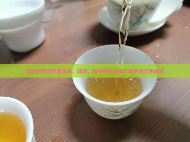 清承堂老班章普洱茶