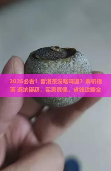 为什么普洱茶没啥味道
