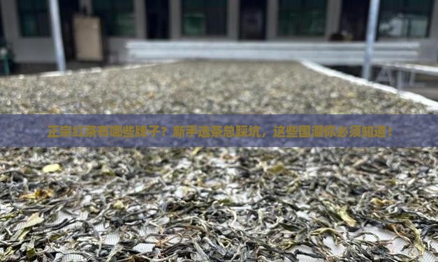 正宗红茶有哪些牌子