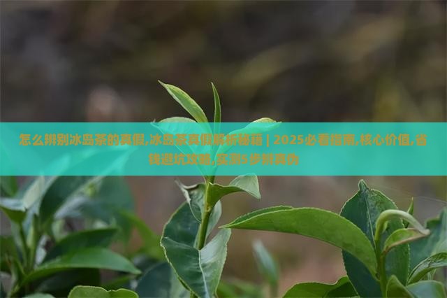 怎么辨别冰岛茶的真假