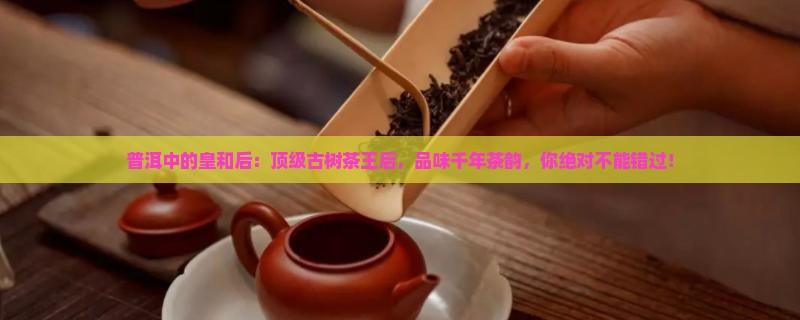 普洱中的皇和后