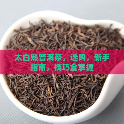 太白熟普洱茶品牌
