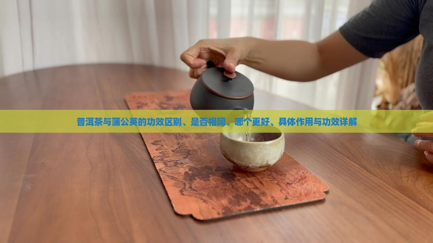 普洱茶与蒲公英的功效