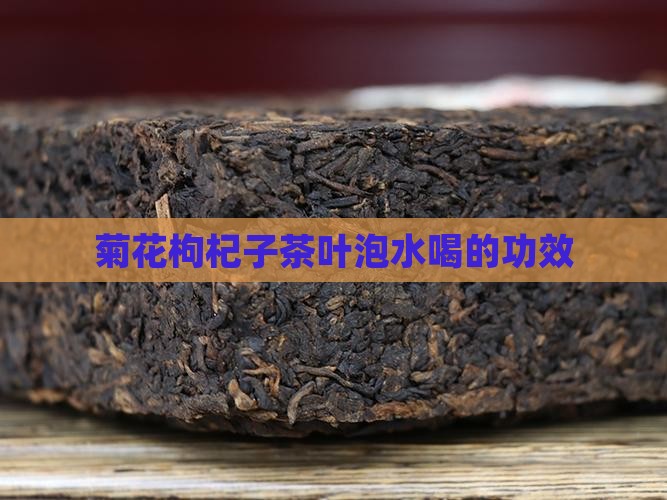 菊花枸杞子茶叶泡水喝的功效