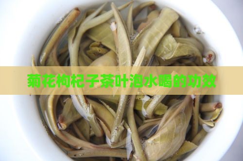 菊花枸杞子茶叶泡水喝的功效