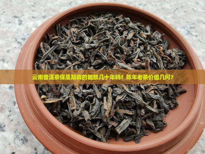 云南普洱茶有多长的保质期