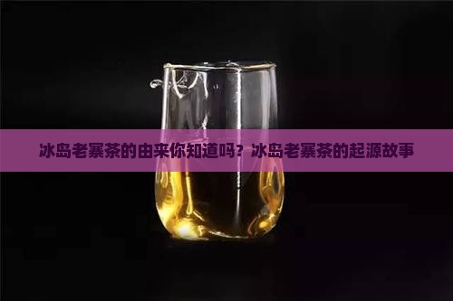 冰岛老寨茶的由来