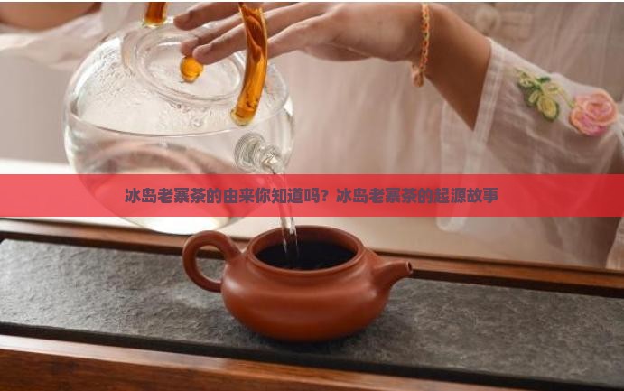 冰岛老寨茶的由来