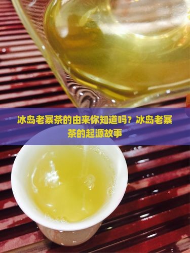 冰岛老寨茶的由来