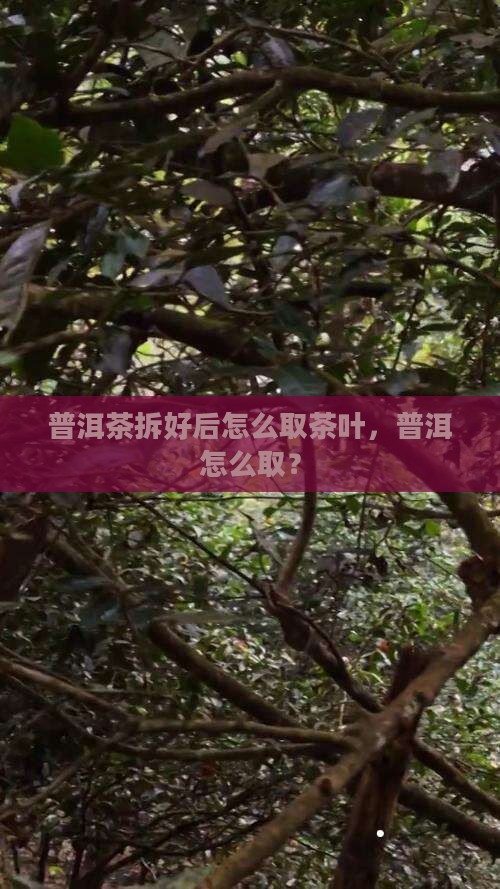 拆好的普洱茶怎么取