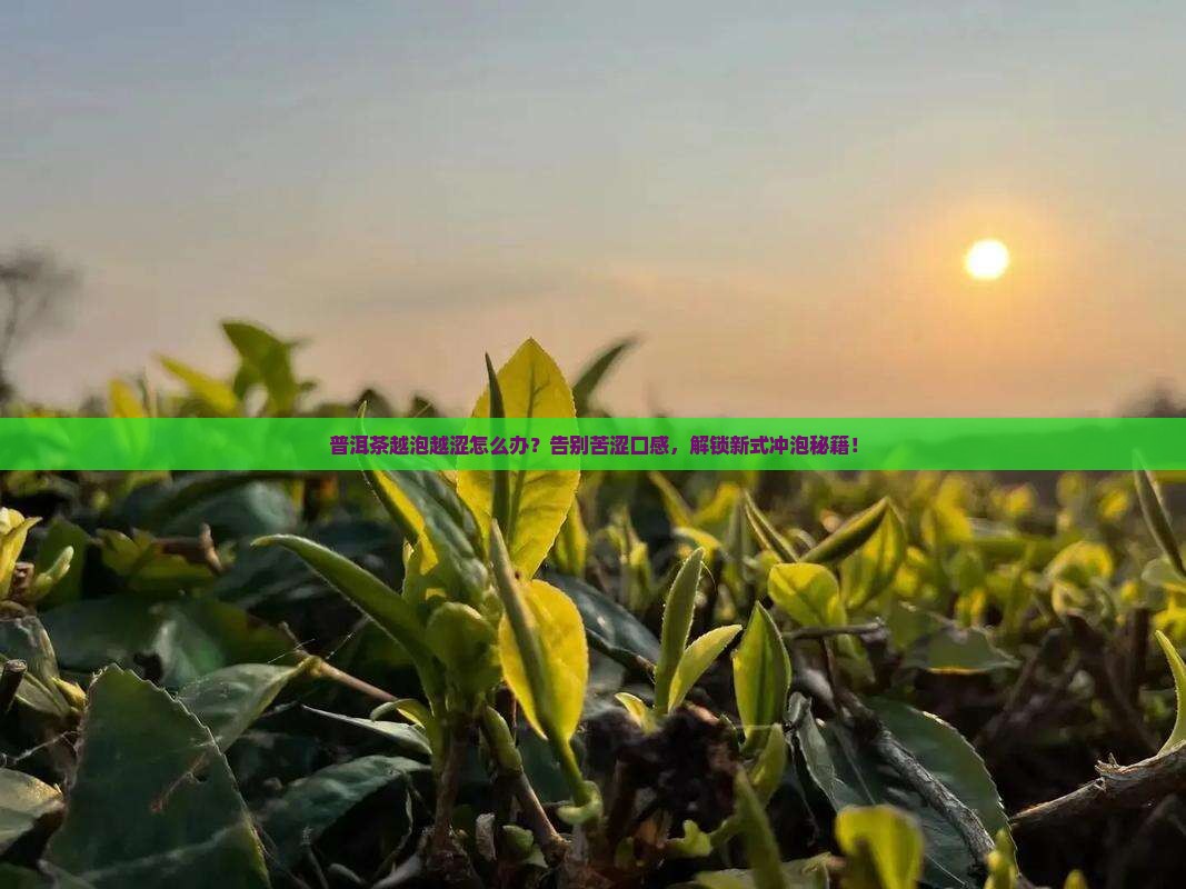 普洱茶越泡越涩怎么办